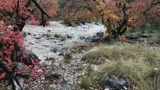Mckittrick canyon trail in Guadalupe national park