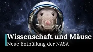 Neue Erkenntnisse der NASA: Springm&auml;use helfen Astronauten, gesund zu bleiben | AI12