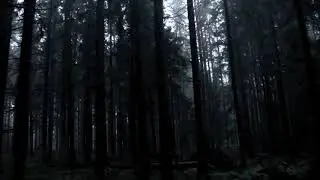 A Symphony to the Void  - Dusk (official video)
