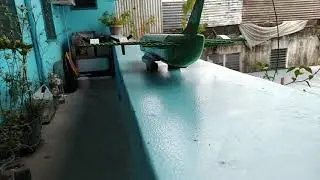 Lego Plane Take Off Short animation