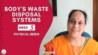 Body's Waste Disposal Systems
