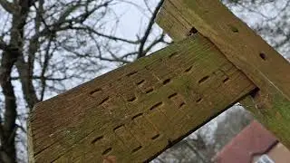 Take a peaceful winter walk with me...