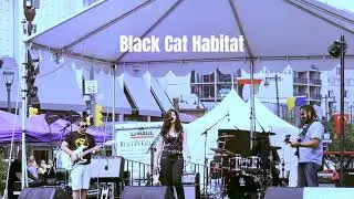 Black Cat Habitat, 