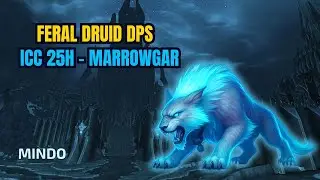 Feral Druid DPS POV ICC 25H &ndash; Lord Marrowgar | Warmane Lordaeron WotLK 🐾