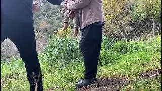 Pırasa çekimi 