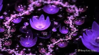 Deep Soothing Dream Calm, 20 minutes of Fast Healing Stress Relief ★ 84