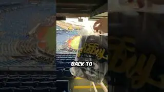 Mystery Box of Signed MLB Items
