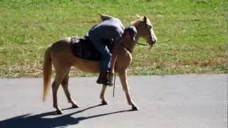 DSCF3274.MOV 