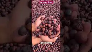 #Supari Process