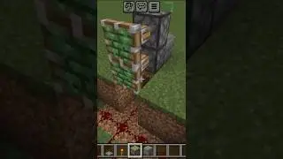 Minecraft Secret Door || Royal Gaming #shorts #short #minecraft