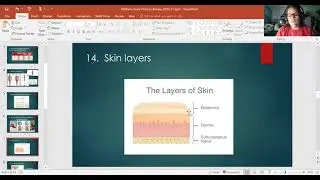 Mid Term Exam Review Anatomy