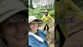 Going to check on your trees in the Indonesian jungle 🏃