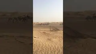 dukhan road