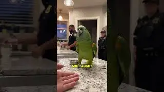 Parrot Learned to Talk From Cop's Complaining Wife, Exposes Secrets! 🤣