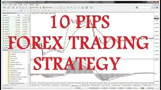 The 10 Pips Scalping Strategy for Currency Traders ✊