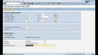 Archiving and retrieving SAP Transactional data, FI Documents