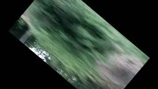 sixteen-817 - endless forest (Elektron Sidstation vs. Roland TR-8)