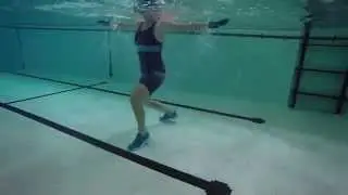 Water Exercise Video Workout: Movements for Mobility PREVIEW