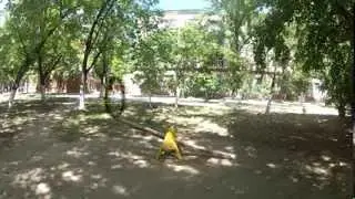 one day in kherson