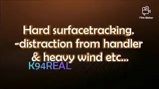 Hard surface tracking -distraction from handler & hard wind