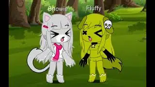 Werecat and Weredog tf🐱🐶💛🤍🐾🌕