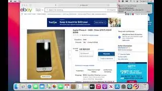 eBay Auto Bids