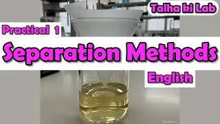Chemistry Practical || Separating Mixtures | Magnetic Separation | Filtration | Grade 9 | Matric