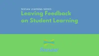 Leaving Feedback on Student Learning in Seesaw