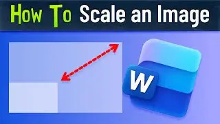 How to Resize Pictures in Word (Without Stretching Them)