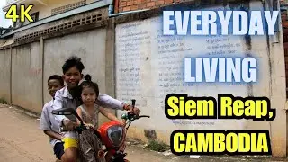 it's like a RURAL- area in the CITY! SIEM REAP, CAMBODIA