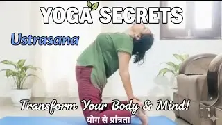  Ustrasana I Method I Benefits l Timing ।  उष्ट्रासन कब और कितनी देर करें🤔 ।for बिगनर 😀