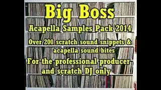 Big Boss Acapella Samples Pack 2014 DJ Fingers Flores