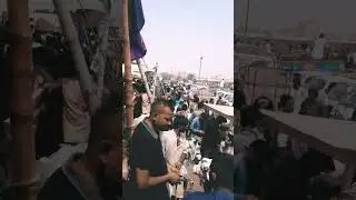 #cattlecolony mandi update30 #jumamubarak #cowvideos #fouryoupage