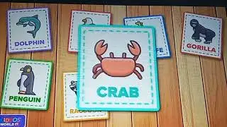 Recognition of animals by using flash cards /Nursery- Science/ kids learning