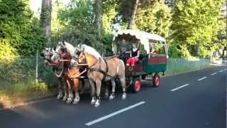 Stumberg Planwagen