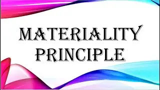 Materiality Principle