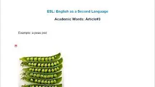 ESL 501- Article#3-Vocabularies
