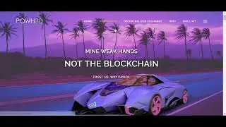 Proof of Weak Hands - My Concerns for the Future