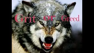 which wolf  are you feeding? || motivational video || 2017