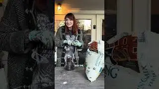 Зимний посев семян
