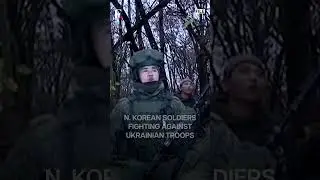 North Korea&rsquo;s Troops Fight Ukraine&rsquo;s Soldiers In Russia&rsquo;s Kursk | Subscribe to Firstpost