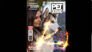 PET DEMAND Magazine