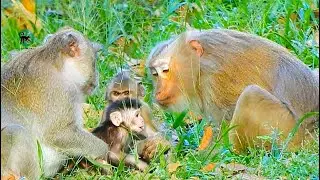 WOW BEST SWEET GRANDMA TERESA TRY TALK LIP SMACKING CALL BABY JODY FOLLOW HER,JODY CRY BONITA KIDNAP