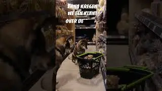 Day in the life of an Panzi-Pet Employee