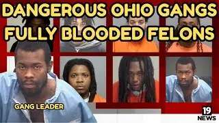 The Rise & Fall of the Fully Blooded Felons: Cleveland&rsquo;s Most Dangerous Gang