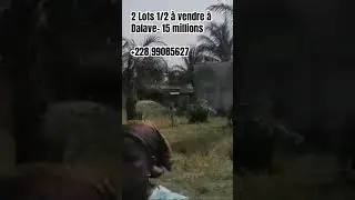 #terrain #immobilier #togo. Terrain de 2 lots 1/2 &agrave; Vendre &agrave; Dalave TOGO. Contact: +228 99085627