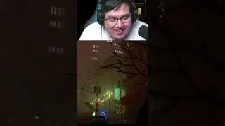 Life flashes before his eyes | #sadboiturtles on #Twitch