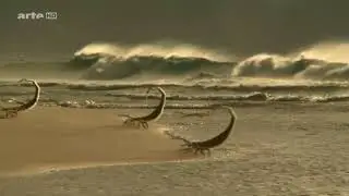 Australien eine Zeitreise E02 Eroberung des Lebens