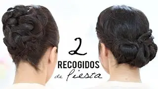 RECOGIDOS DE FIESTA