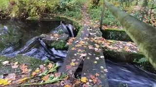 Der kleine Mühlenpfad Molitors Mühle in Eisenschmitt - Bildschirmschoner Relaxing Erholung